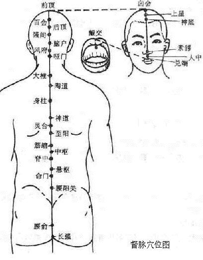 qijingbamai_01.gif