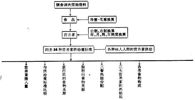 linchuangyingyangxue182.jpg