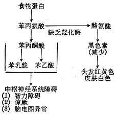 linchuangyingyangxue173.jpg