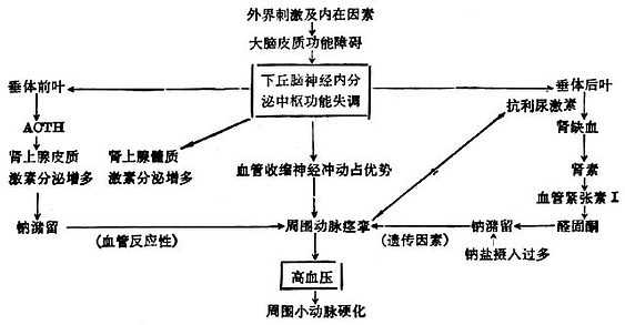 linchuangyingyangxue151.jpg