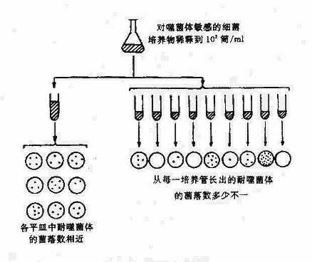 yixueweishengwuxue015.jpg